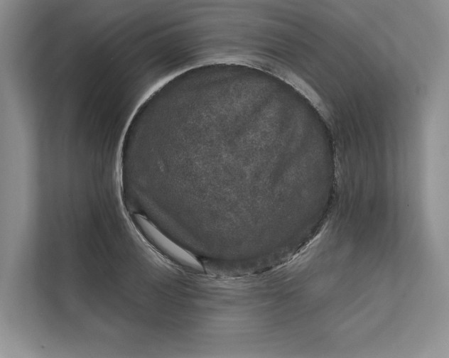 X0000111811028200908061111