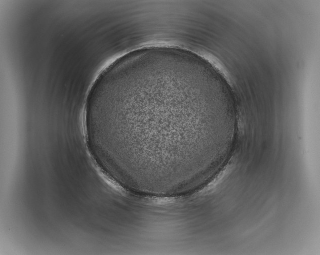 X0000111811030200908061111