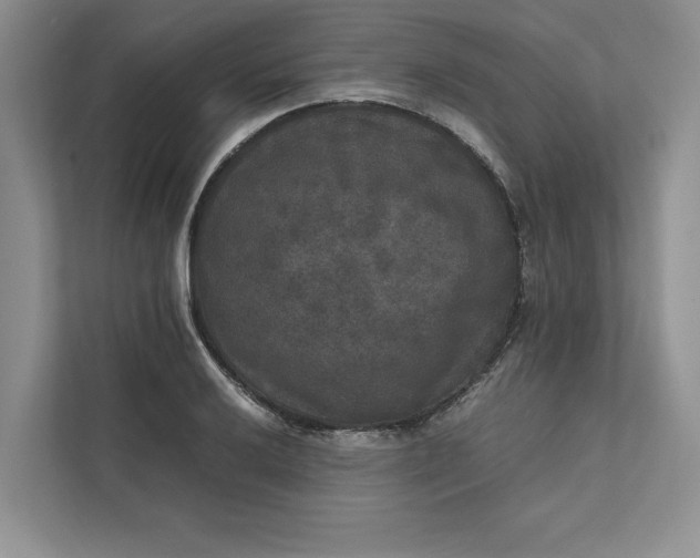 X0000111811032200908061111