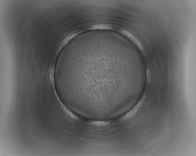 X0000111811033200908061111