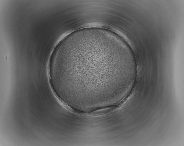 X0000111811034200908061111
