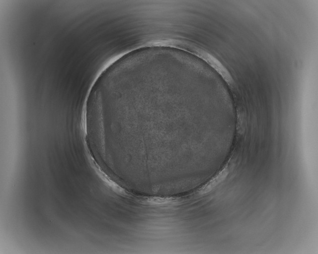 X0000111811036200908061111