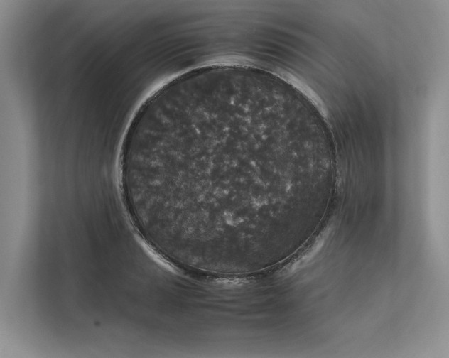 X0000111811037200908061111