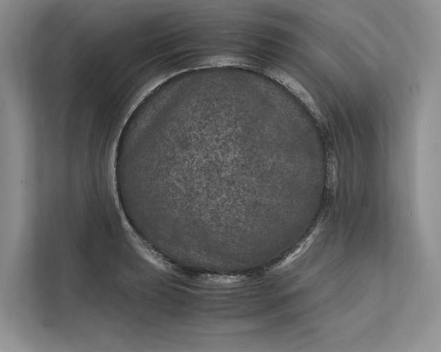 X0000111811039200908061111