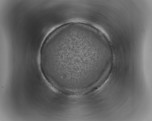 X0000111811040200908061111