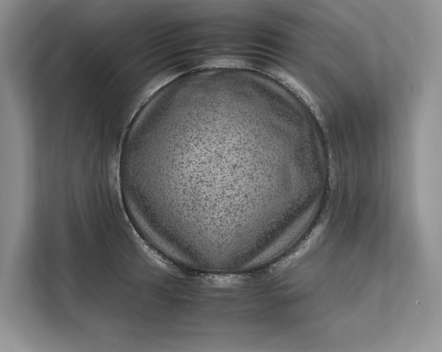 X0000111811041200908061111