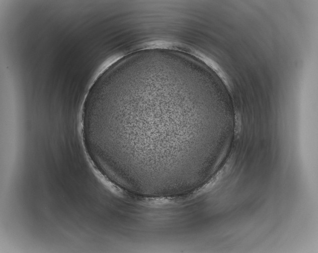 X0000111811042200908061111