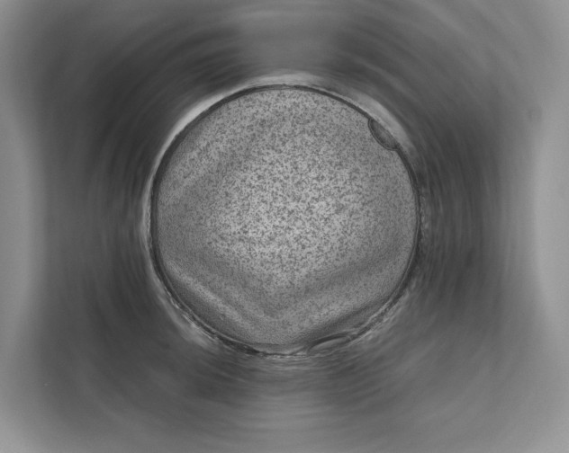 X0000111811044200908061111