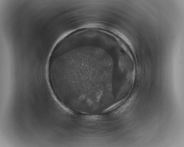 X0000111811045200908061111