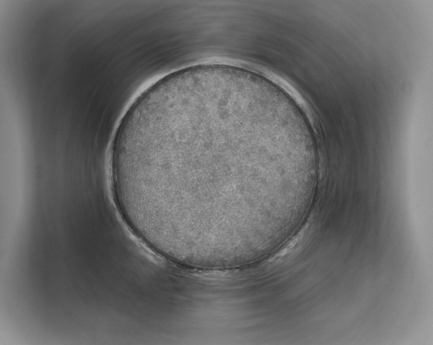 X0000111811048200908061111