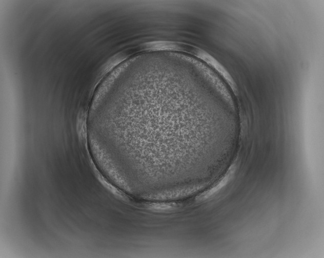 X0000111811049200908061111