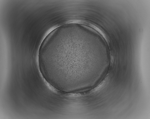 X0000111811050200908061111