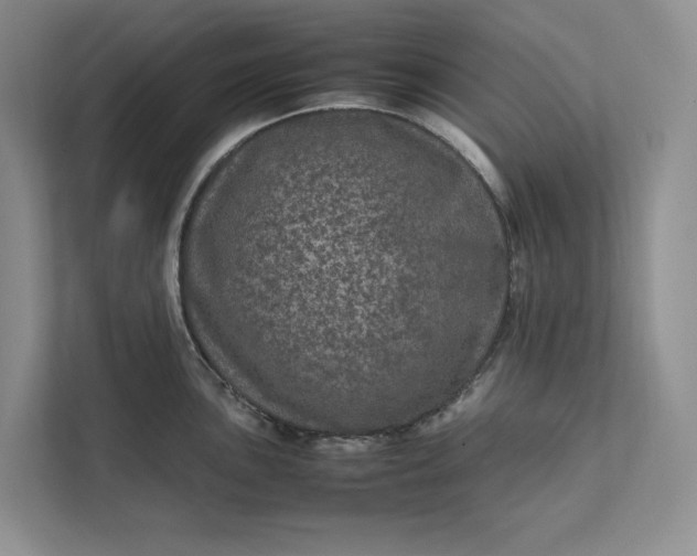 X0000111811051200908061111