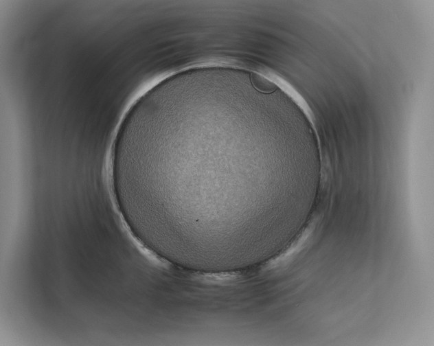 X0000111811053200908061111