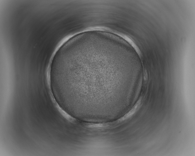 X0000111811054200908061111