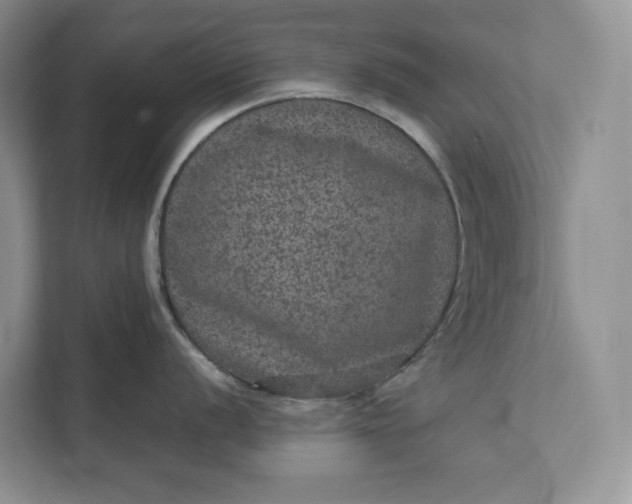 X0000111811056200908061111