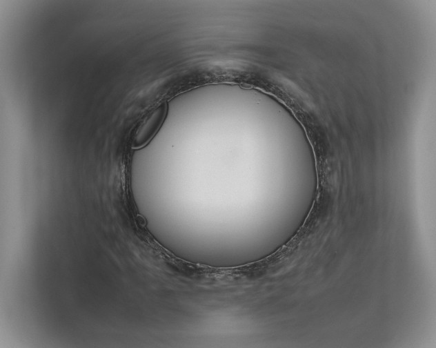 X0000111811061200908061111