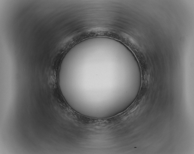 X0000111811062200908061111