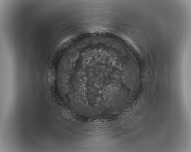 X0000111811063200908061111