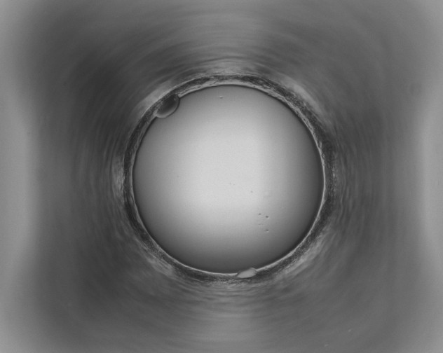 X0000111811065200908061111