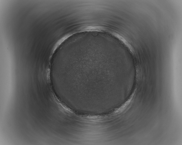 X0000111811066200908061111