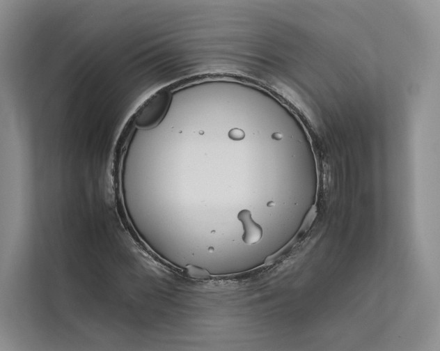 X0000111811068200908061111