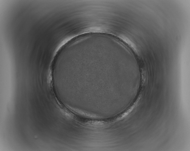 X0000111811070200908061111