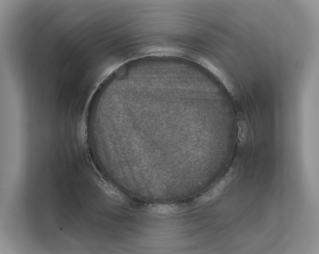 X0000111811074200908061111