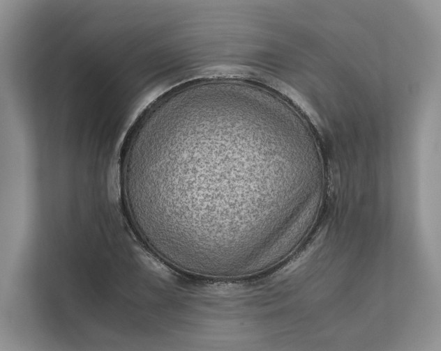 X0000111811075200908061111