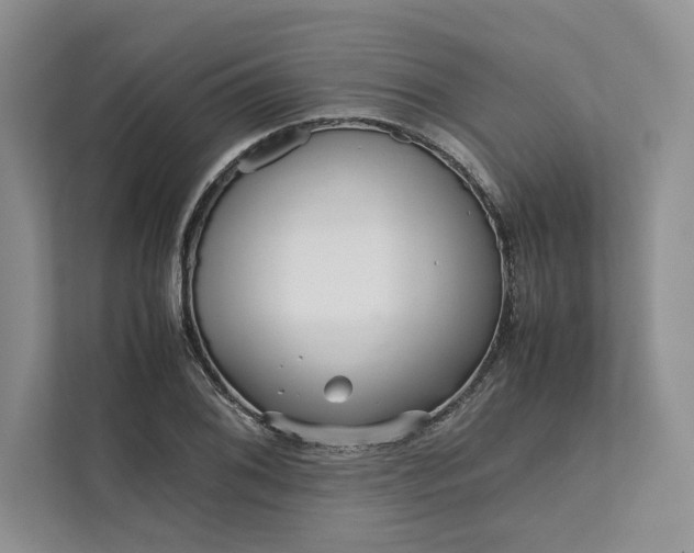X0000111811076200908061111