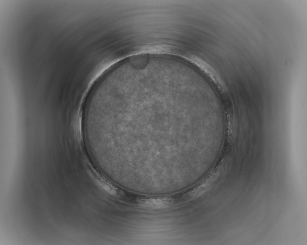 X0000111811078200908061110