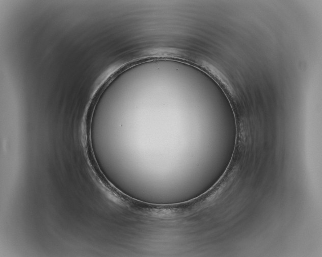 X0000111811082200908061110