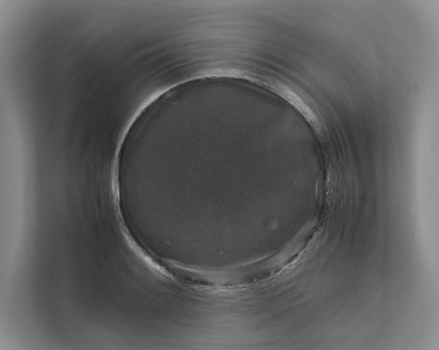 X0000111811084200908061110