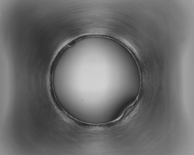 X0000111811085200908061110