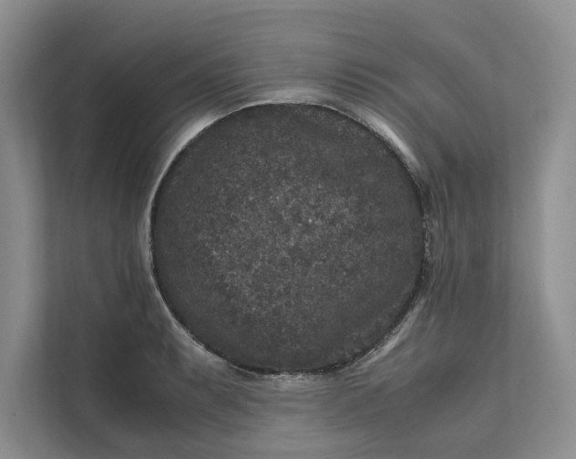 X0000111811087200908061110