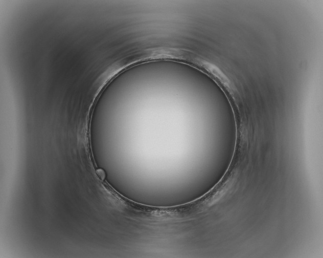 X0000111811089200908061110