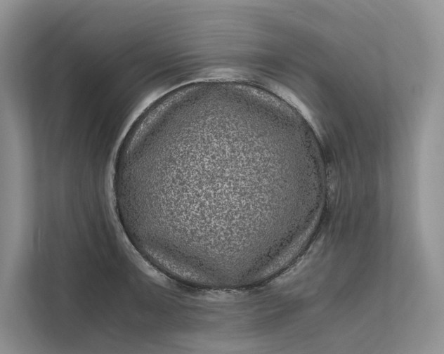 X0000111811091200908061110