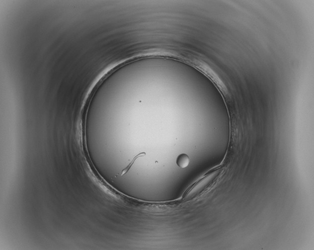 X0000111811092200908061110