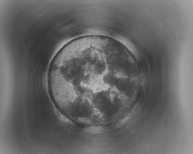 X0000111811094200908061110