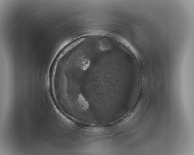 X0000111811095200908061110