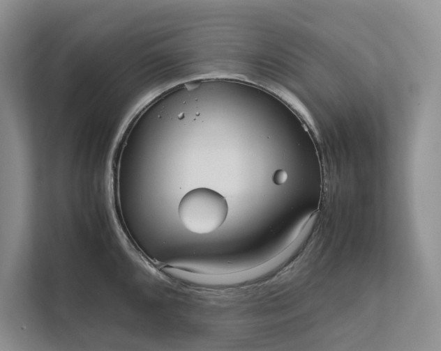 X0000111811096200908061110