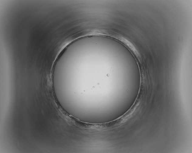 X0000111811097200908061110
