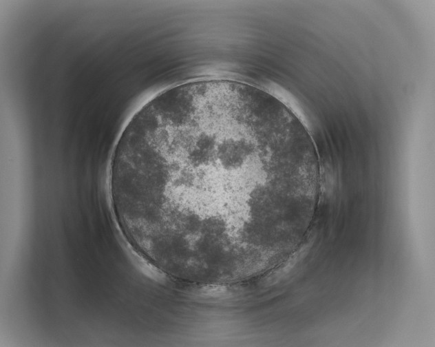 X0000111811098200908061110