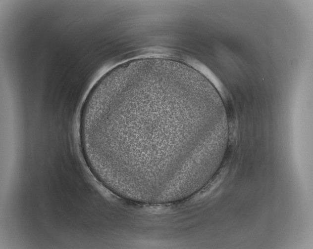 X0000111811099200908061110