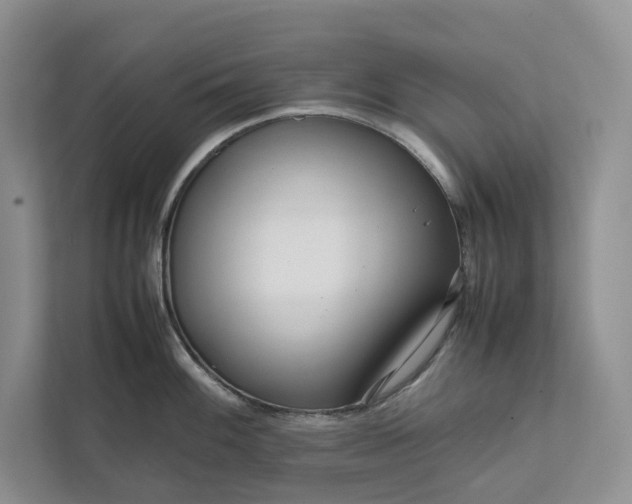 X0000111811100200908061110