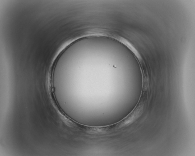 X0000111811101200908061110
