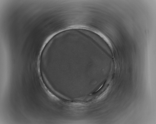 X0000111811102200908061110