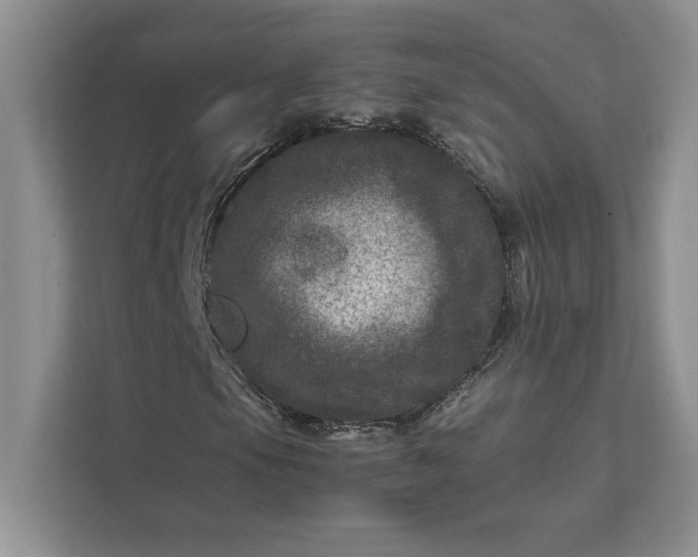 X0000111811105200908061110
