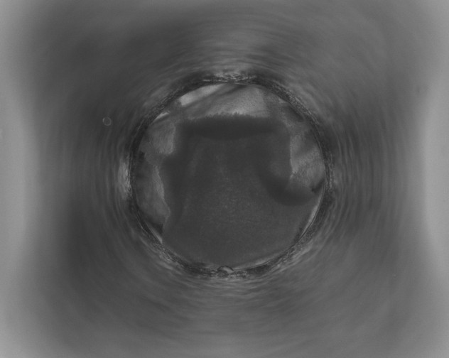 X0000111811106200908061110