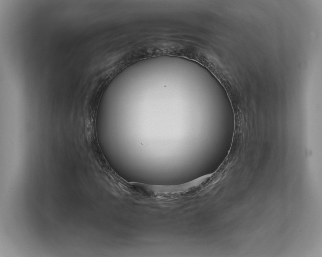 X0000111811109200908061110